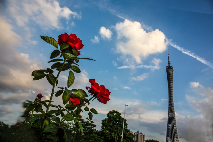00283 花城广场