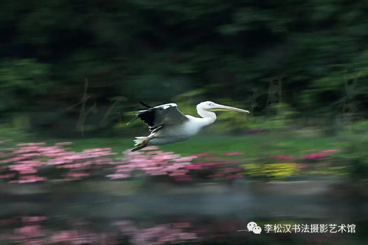 微信图片_20211020162351.jpg