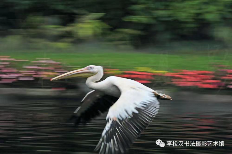微信图片_20211020162400.jpg