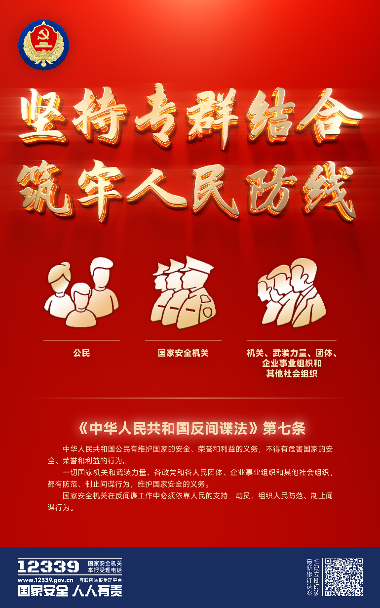 立体 - 专群结合.png
