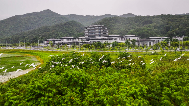 中国国家版本馆广州分馆