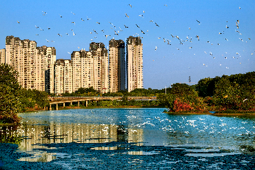 花都百年石灰窑巨坑