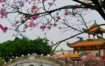 番禺区宝墨园（五）