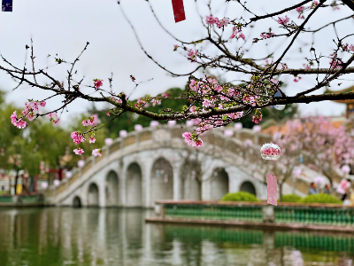 番禺区宝墨园（四）