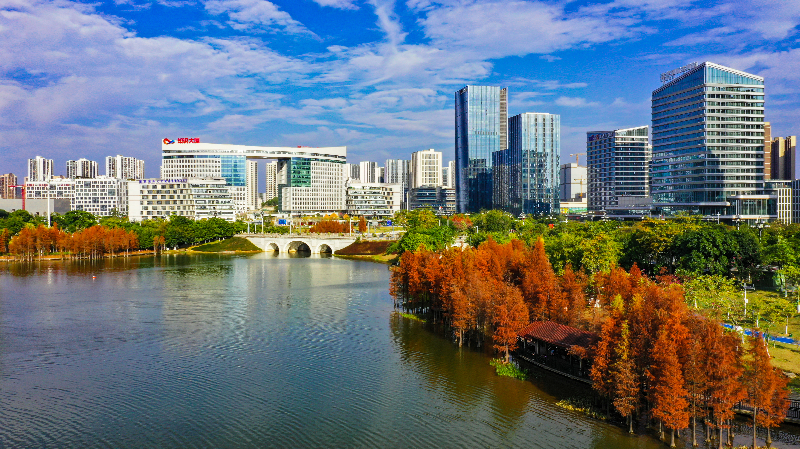 中新广州知识城