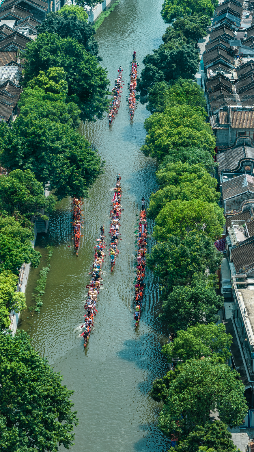 龙舟竞渡 百舸争流
