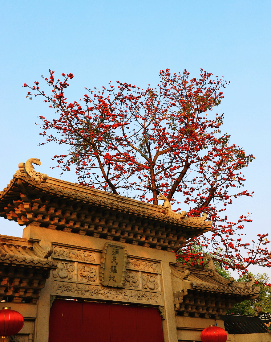 钟锐 摄影作品10.jpg