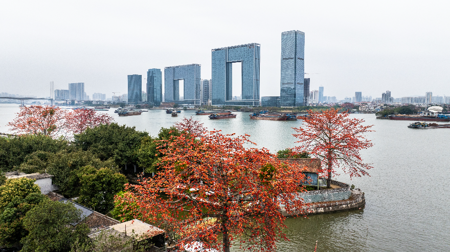 春满花城