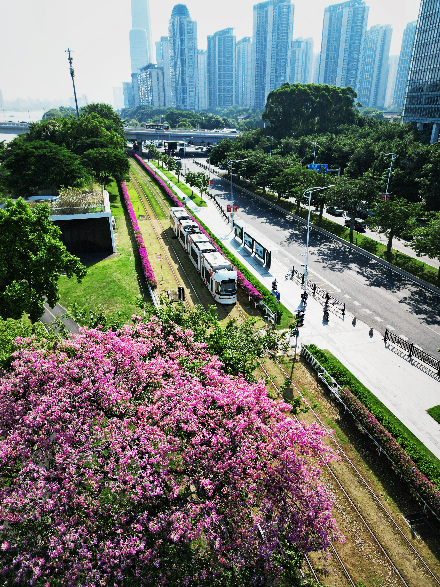 钟锐 摄影作品2