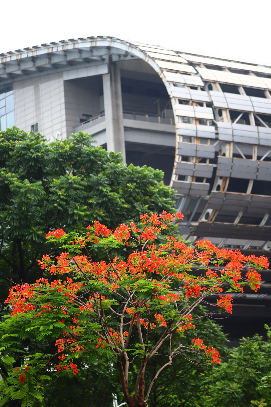 钟锐 摄影作品1