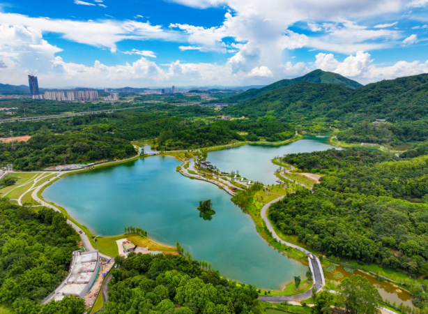 黄埔区迳下湖入选广州市第三批美丽河湖优秀案例名单