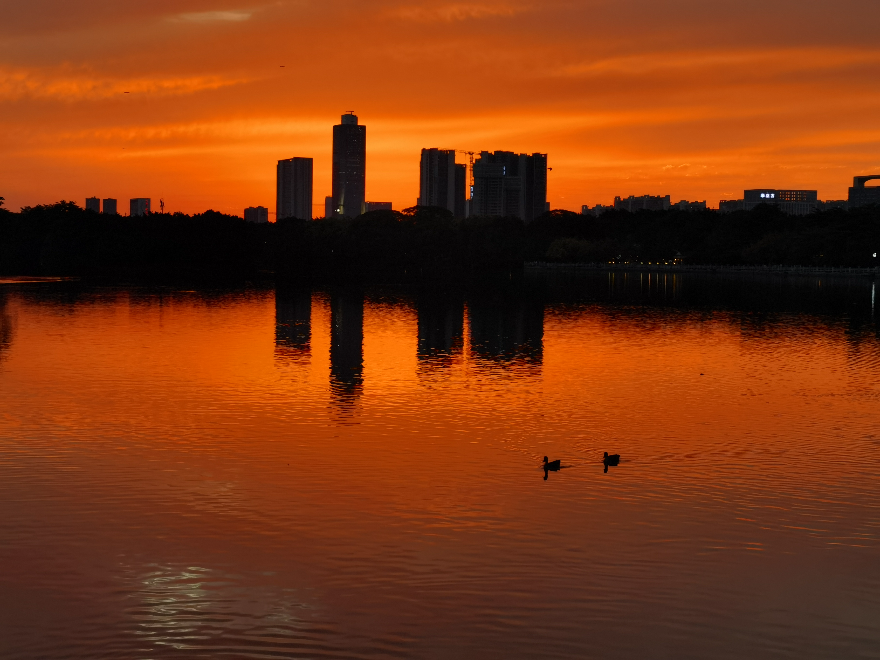 《余晖下的海珠湖》  马子博