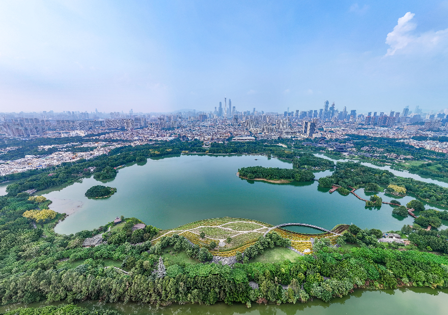 谢镇炜  《湖光塔影共此城》