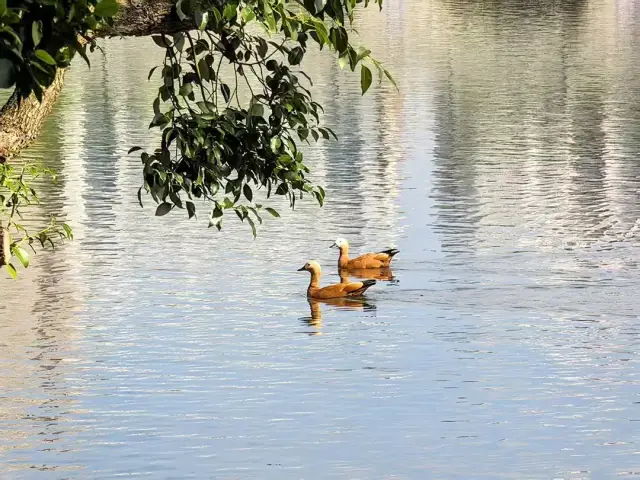 图源：“广州市东山湖公园管理中心”微信公众号