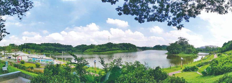 大学城中心湖.jpg