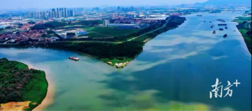 深圳茅洲河水清岸绿。资料图片